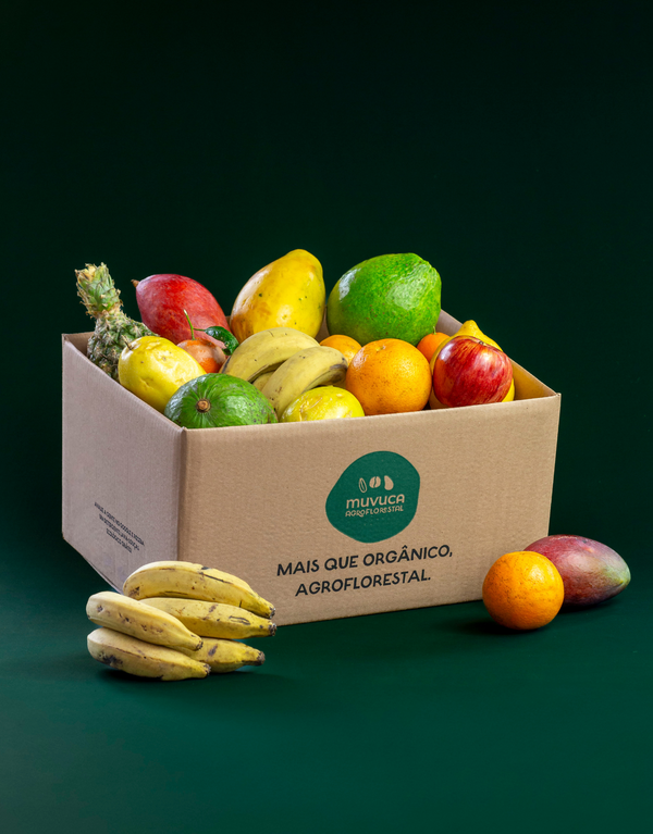 Cesta de frutas G