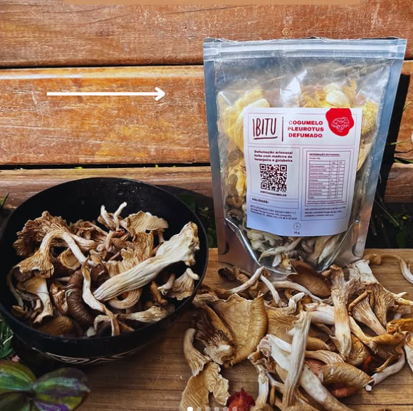Mix de Cogumelos Desidratados 30g – Ibitu