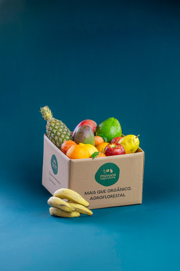 Cesta de frutas P