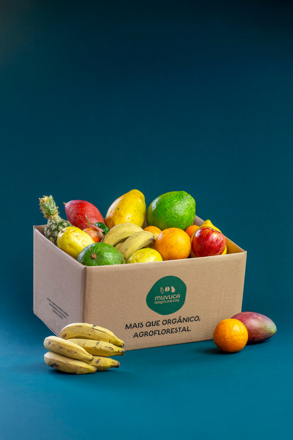 Cesta de frutas G
